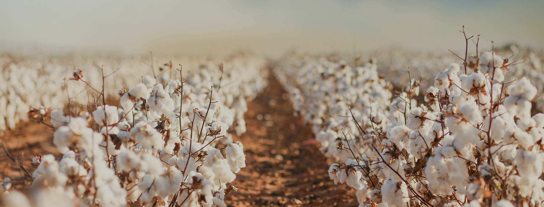 JIANGSU CANWIN WEAVING CO., LTD.